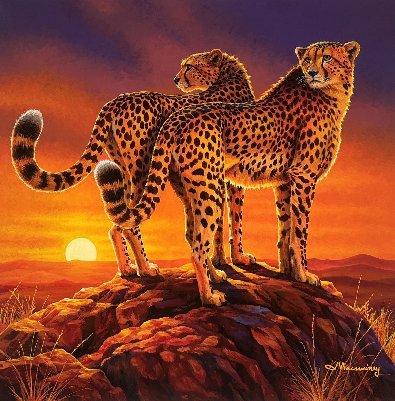 A Sunset Stroll 48x48.jpeg