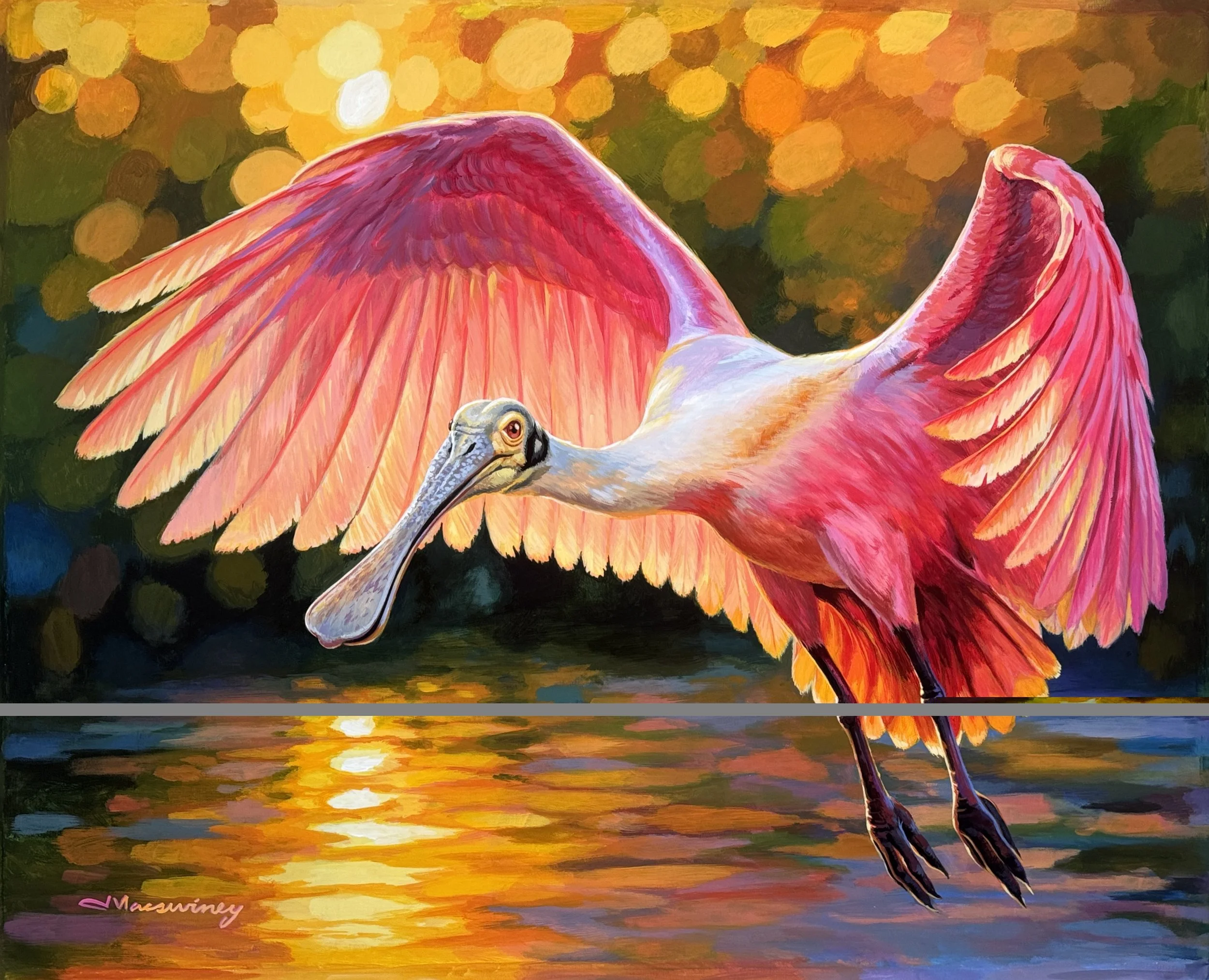 Dance Of The Everglades