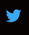 Twitter button.png
