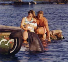 press-dolphins