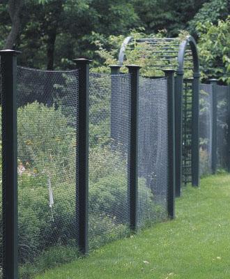 Deer fence 1.jpg