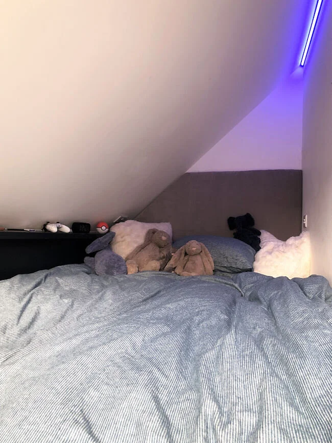 BED 1 BED_opt.jpg