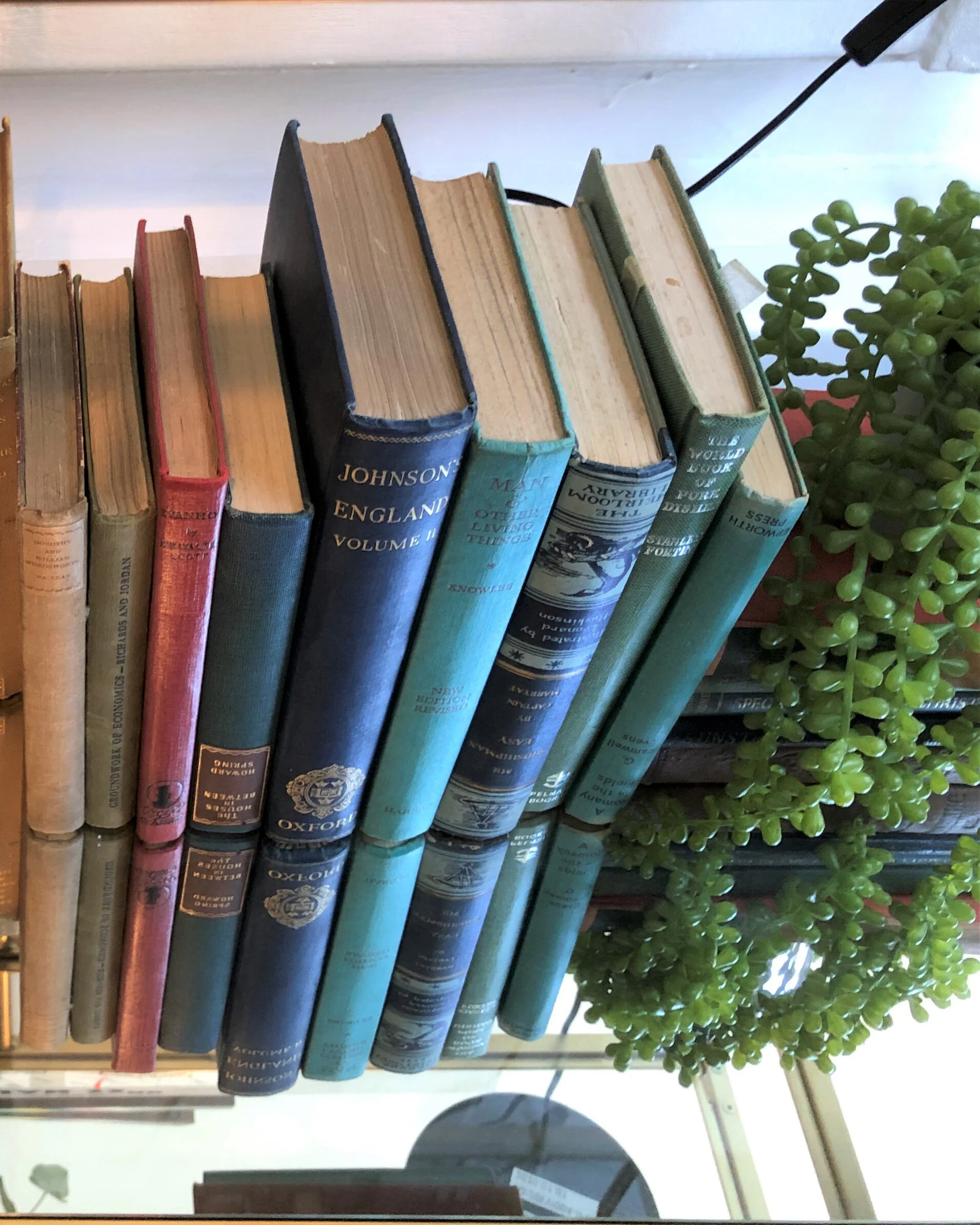 mirrored shelf.JPG