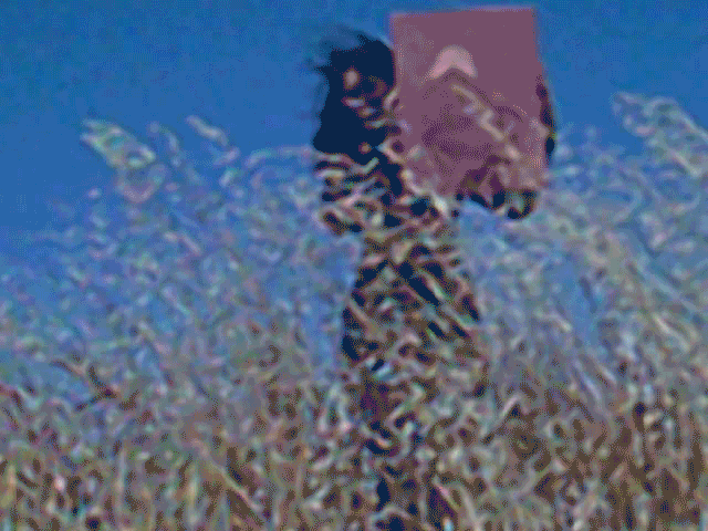DSCF0220.gif