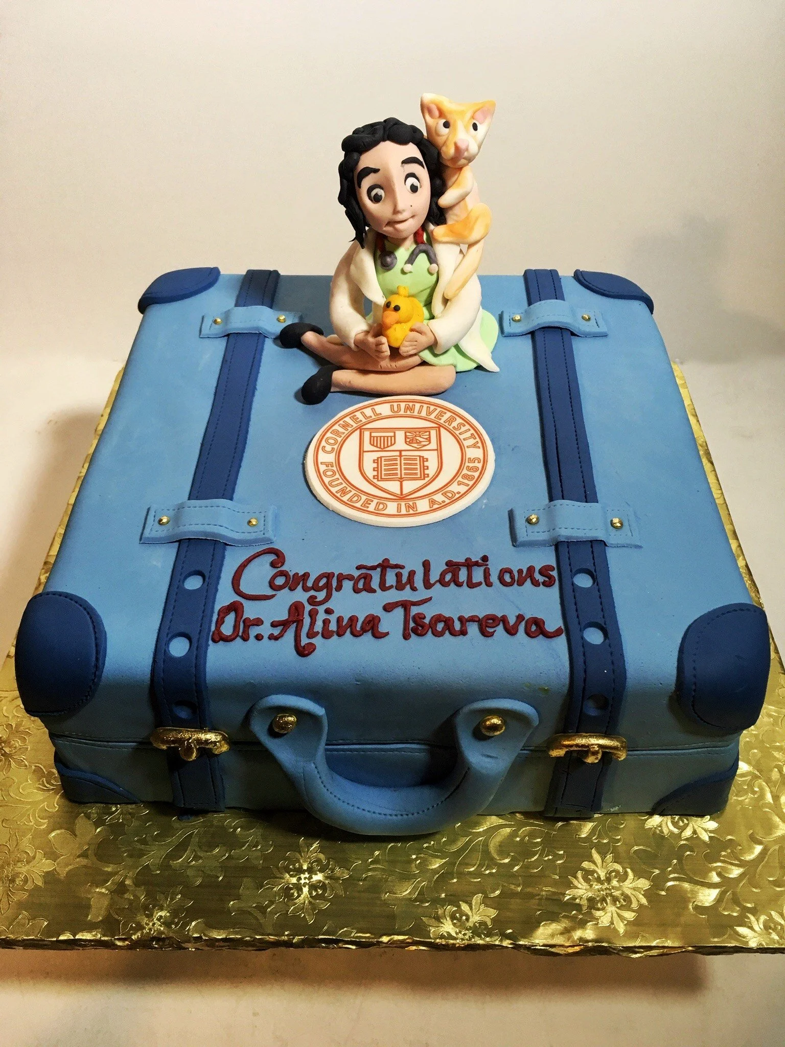  This Cornell Vet Suitcase Cake with custom fondant topper is the perfect centerpiece for your child’s Cornell graduation party in Ithaca, NY. 