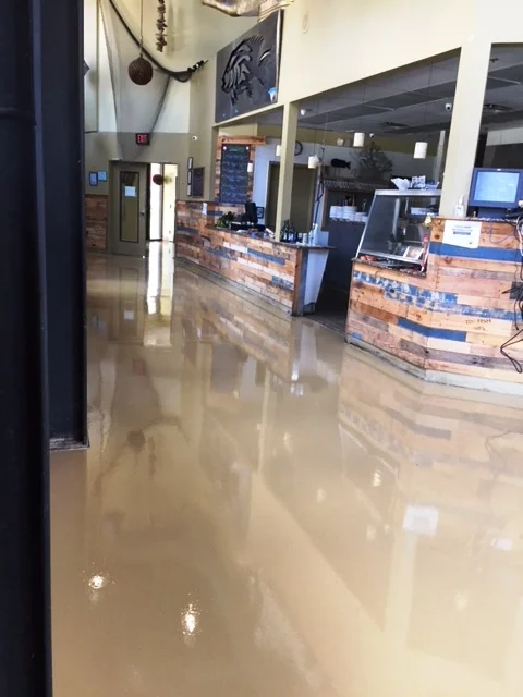 Polished concrete - stained and polished for a high-luster finish