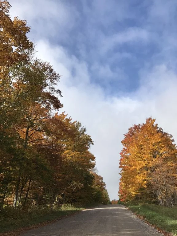 Country road to the Blue house.jpg