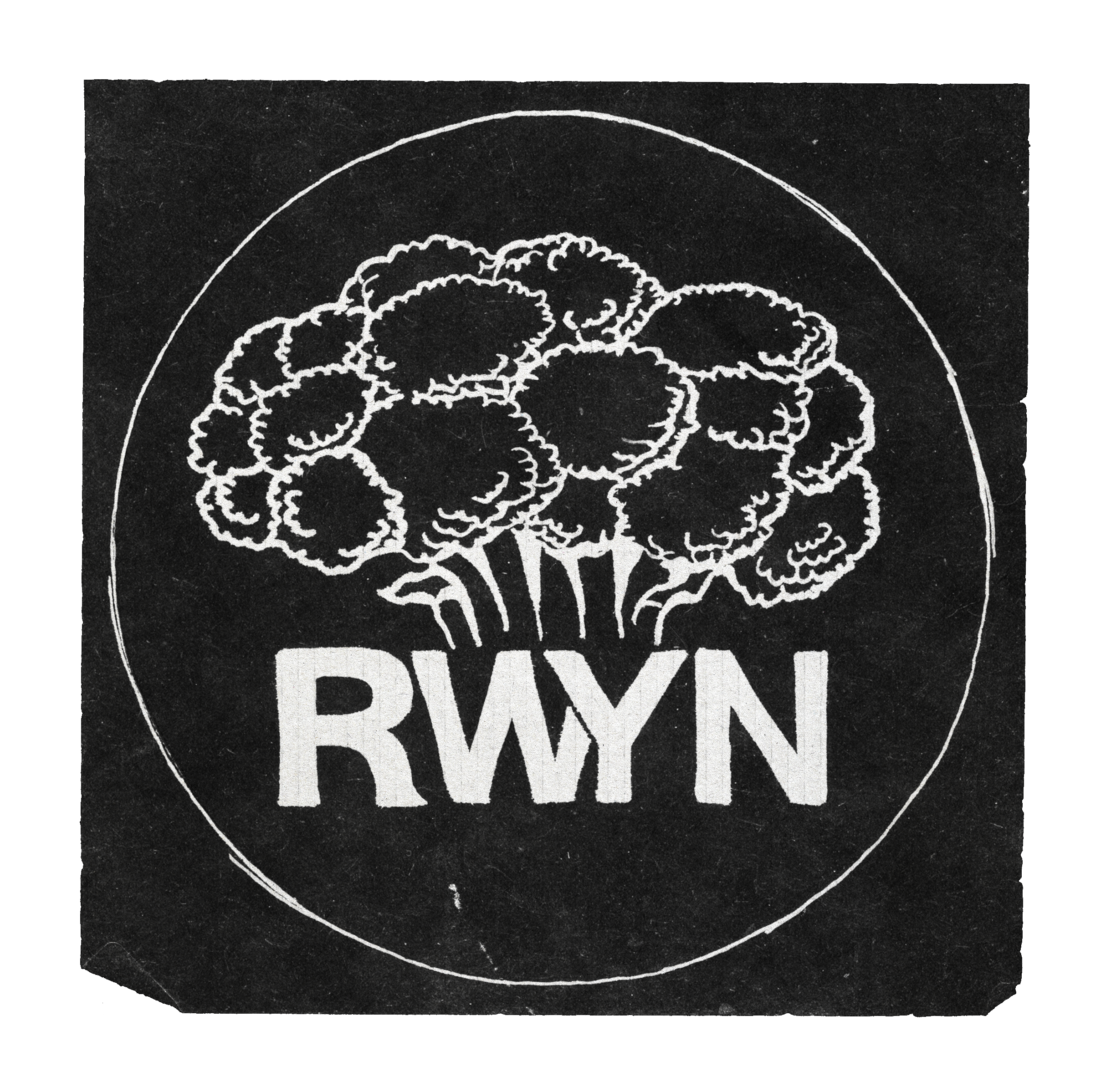 RWYN_clear.png