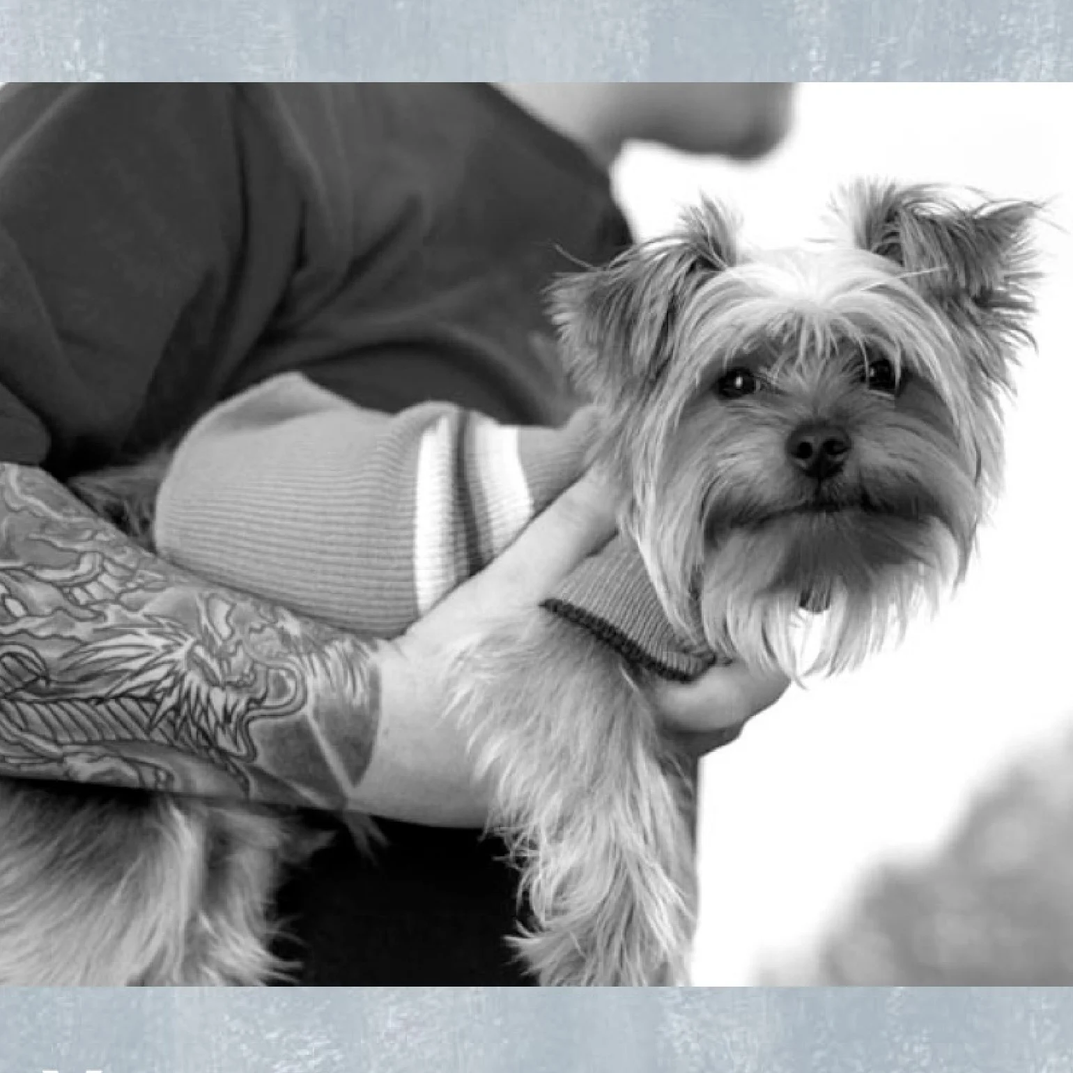 CreateAthon: 24-hr Pro Bono Blitz