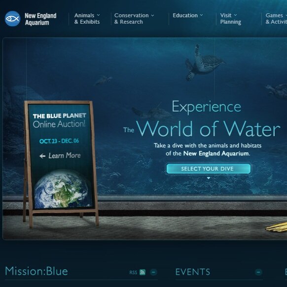 Pitch Win: New England Aquarium Digital Experience