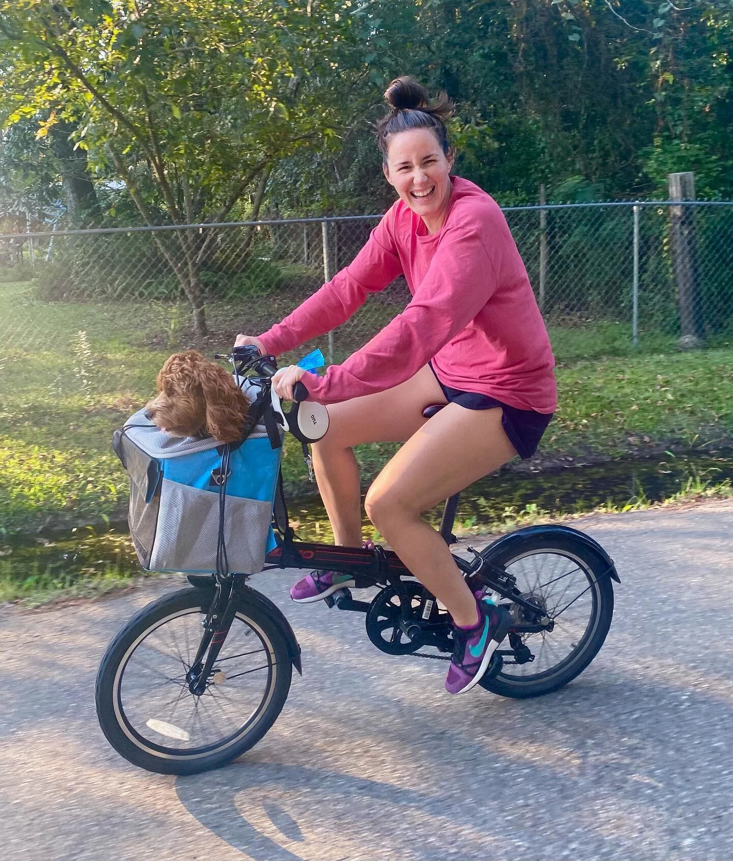 Happy Magical Monday 🌈💕 {Swipe right to see the cutest puppy ever}

I was a little nervous to put my boy in this basket but he loved it! He is just the most perfect dog!!