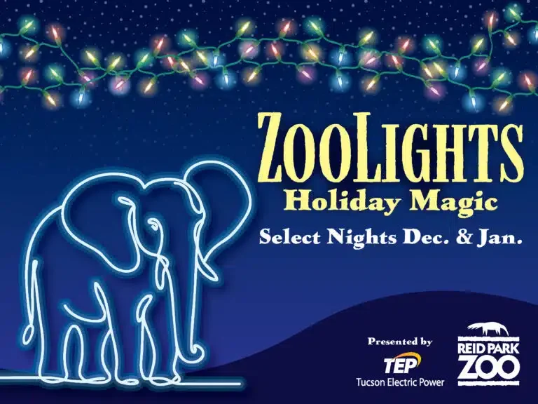 ZooLights 2025