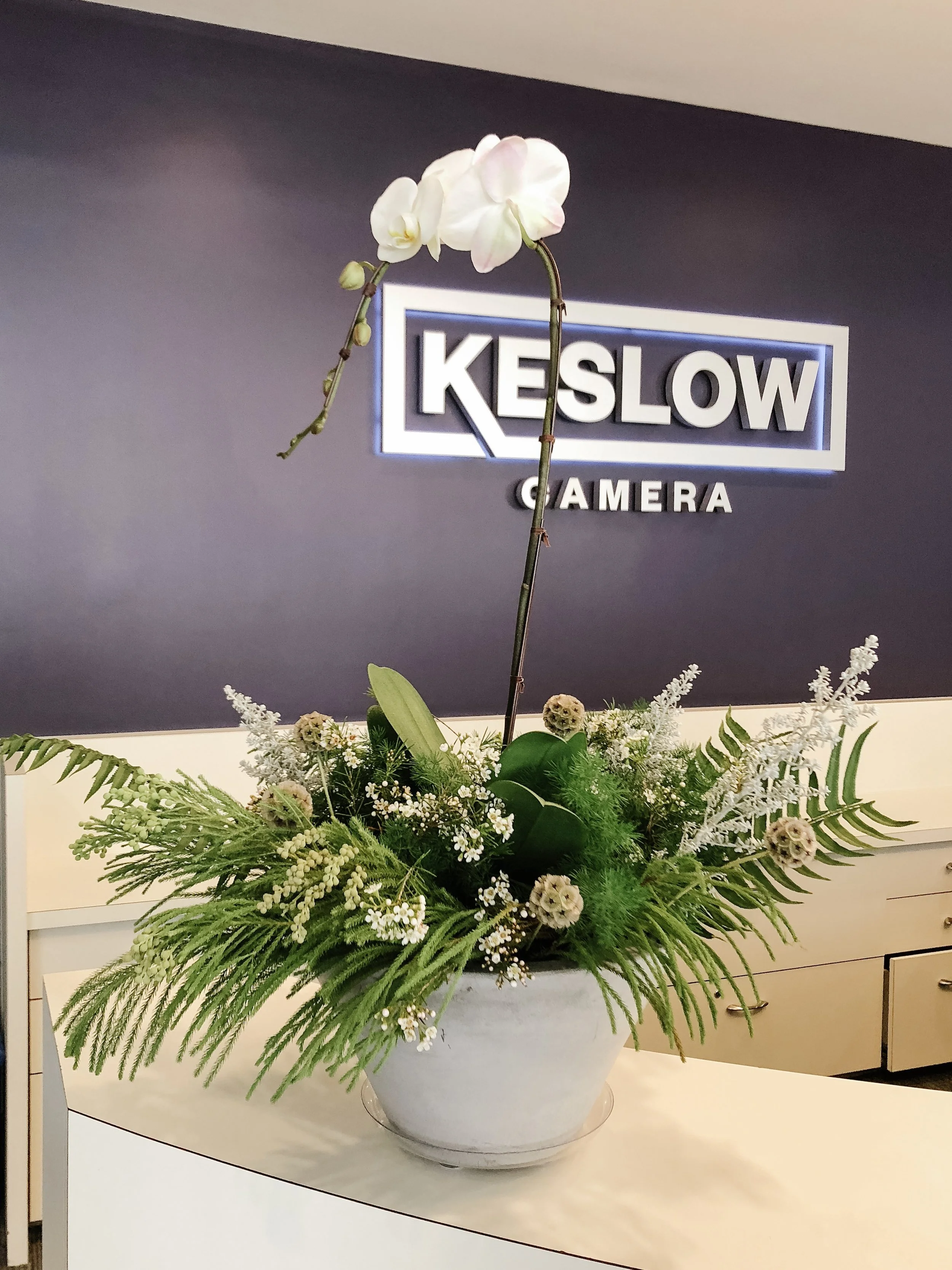 Keslow Camera is one of the many clients of Thistle Botanicals in Vancouver, BC