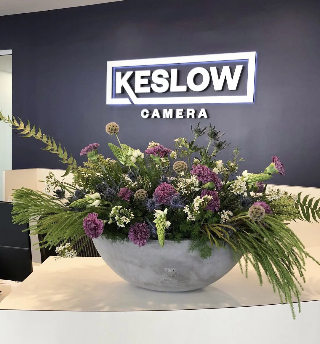 Keslow Camera is one of the many clients of Thistle Botanicals in Vancouver, BC