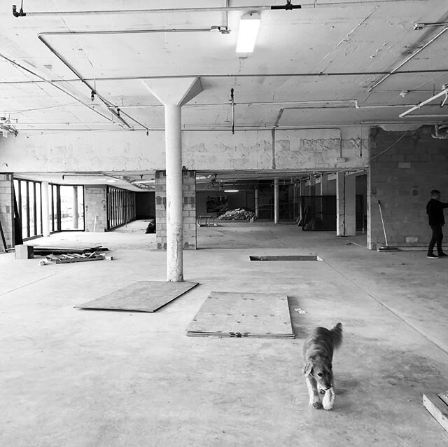 New year. New project. Measuring our latest Brickell restaurant project with our office mascot today. Excited about 2020! #dafamascot #dafabefore