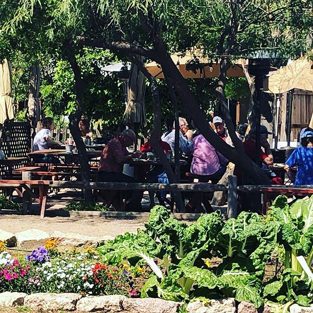 Patio Tour Day 28!@thefarmarizona at #SouthMountain is a quiet oasis, perfect for breakfast, lunch, or a very special dinner. Grab amazing food, but also walk around and take in the gardens and local shop. 🌺🌾🍓🥦🐔 #patiolife #farm #garden #wedding