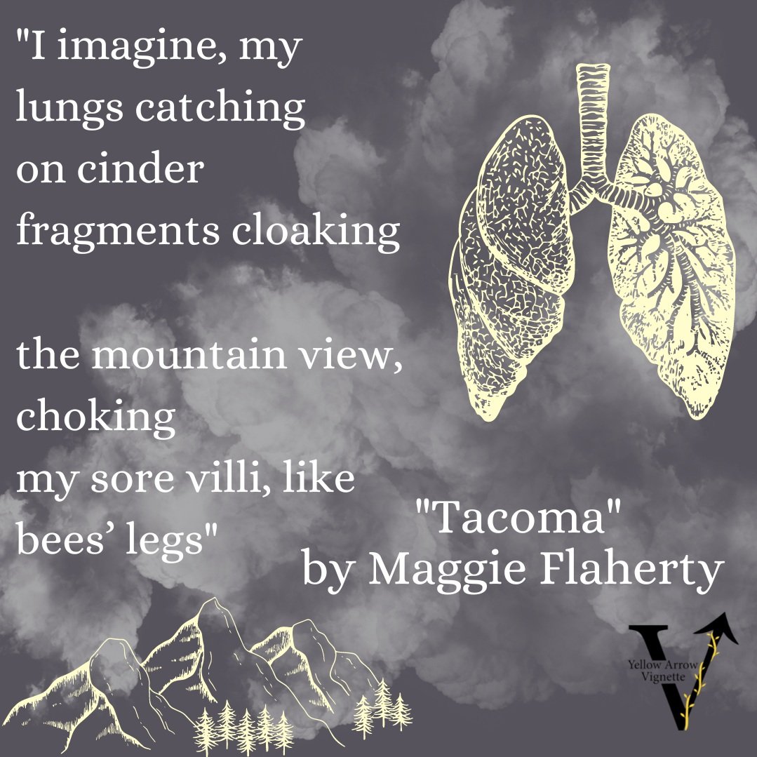 Maggie Flaherty | Tacoma