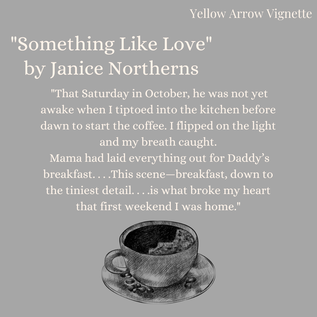 Janice Northerns | Something Like Love