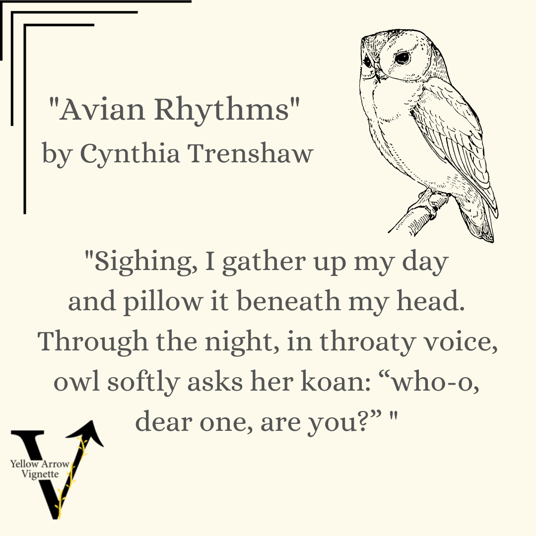 Cynthia Trenshaw | Avian Rhythms