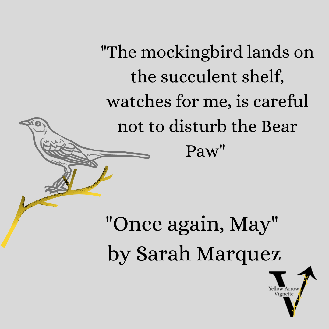 Sarah Marquez | Once again, May