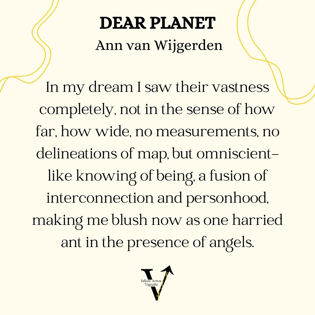 Ann van Wijgerden | Dear Planet