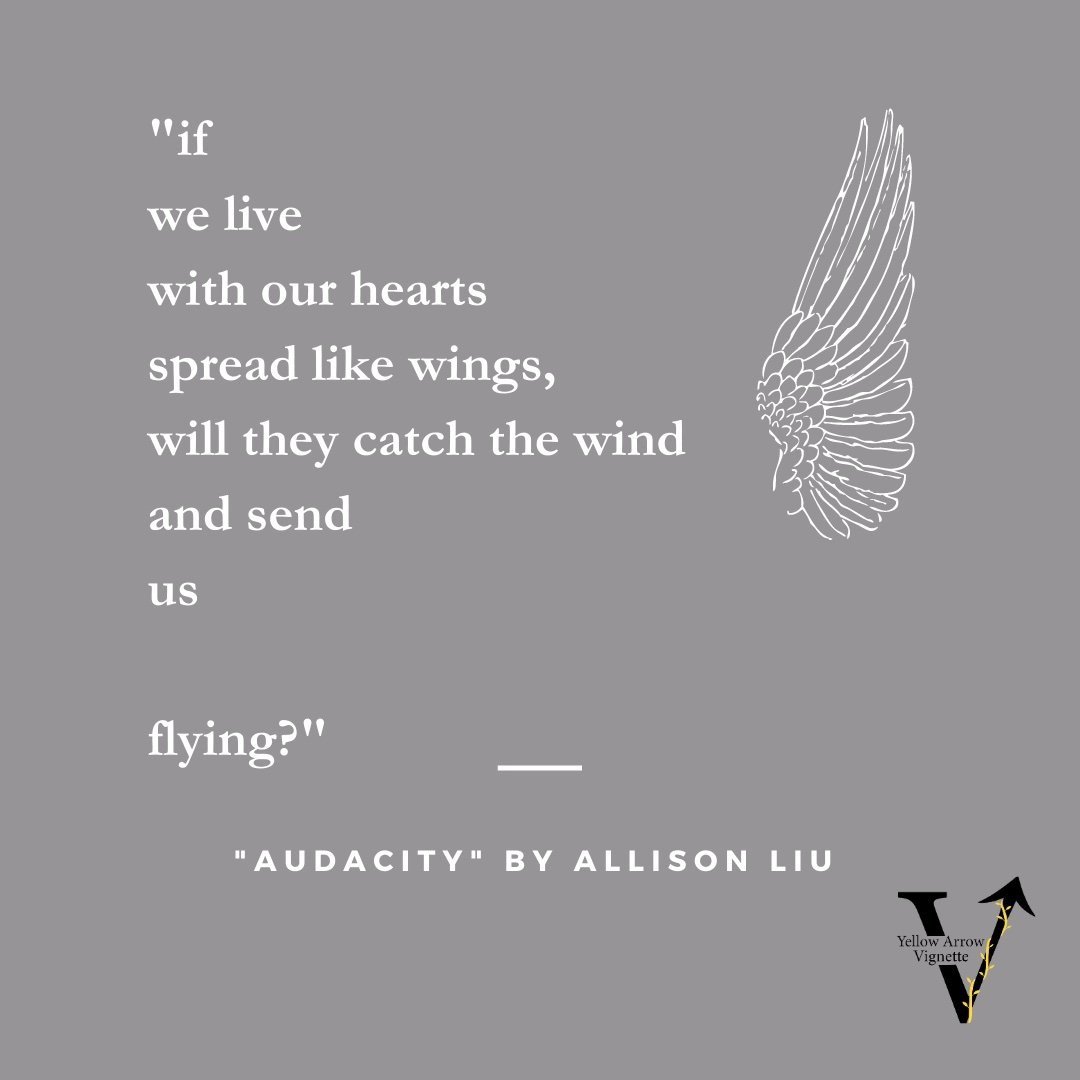 Allison Liu | audacity