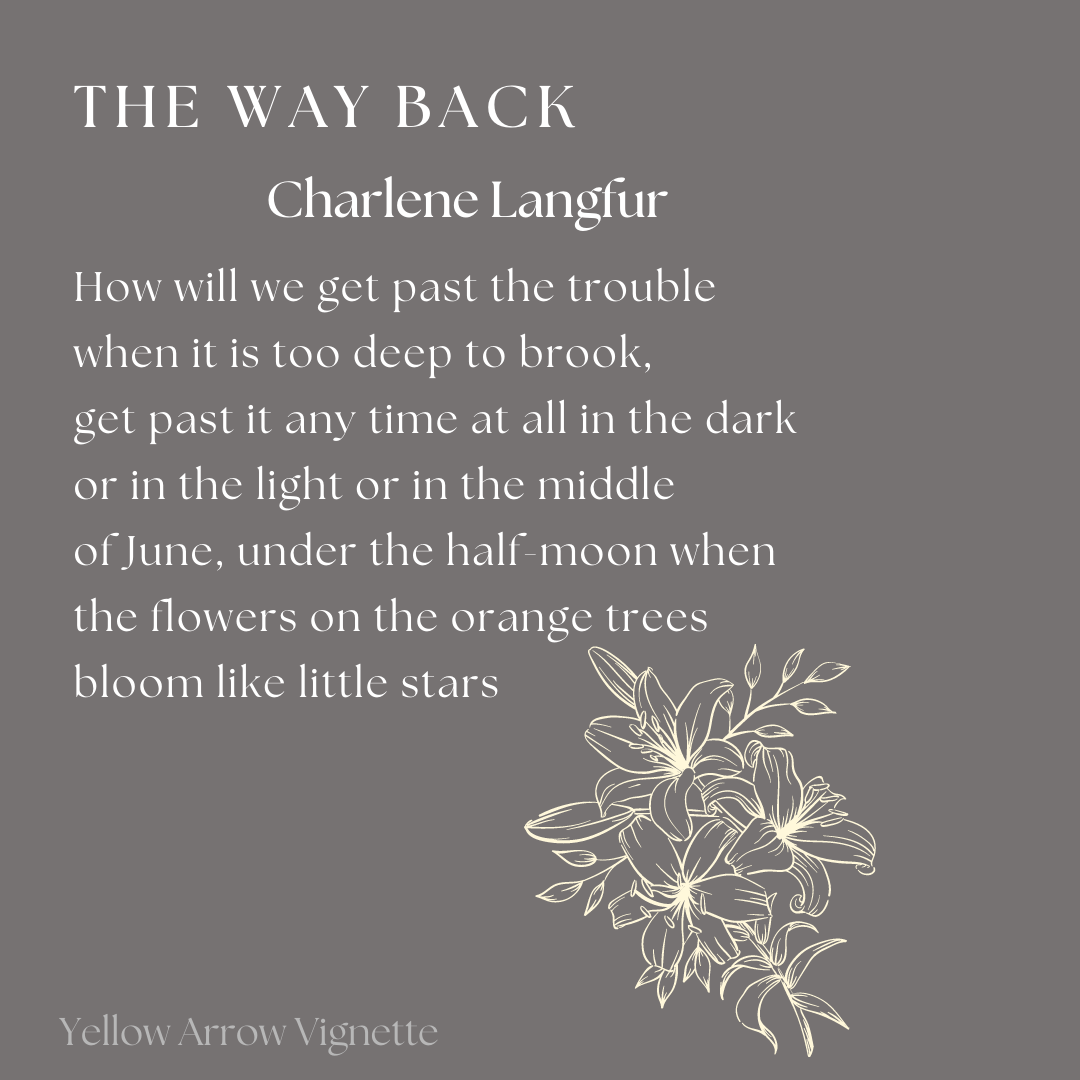 Charlene Langfur | The Way Back