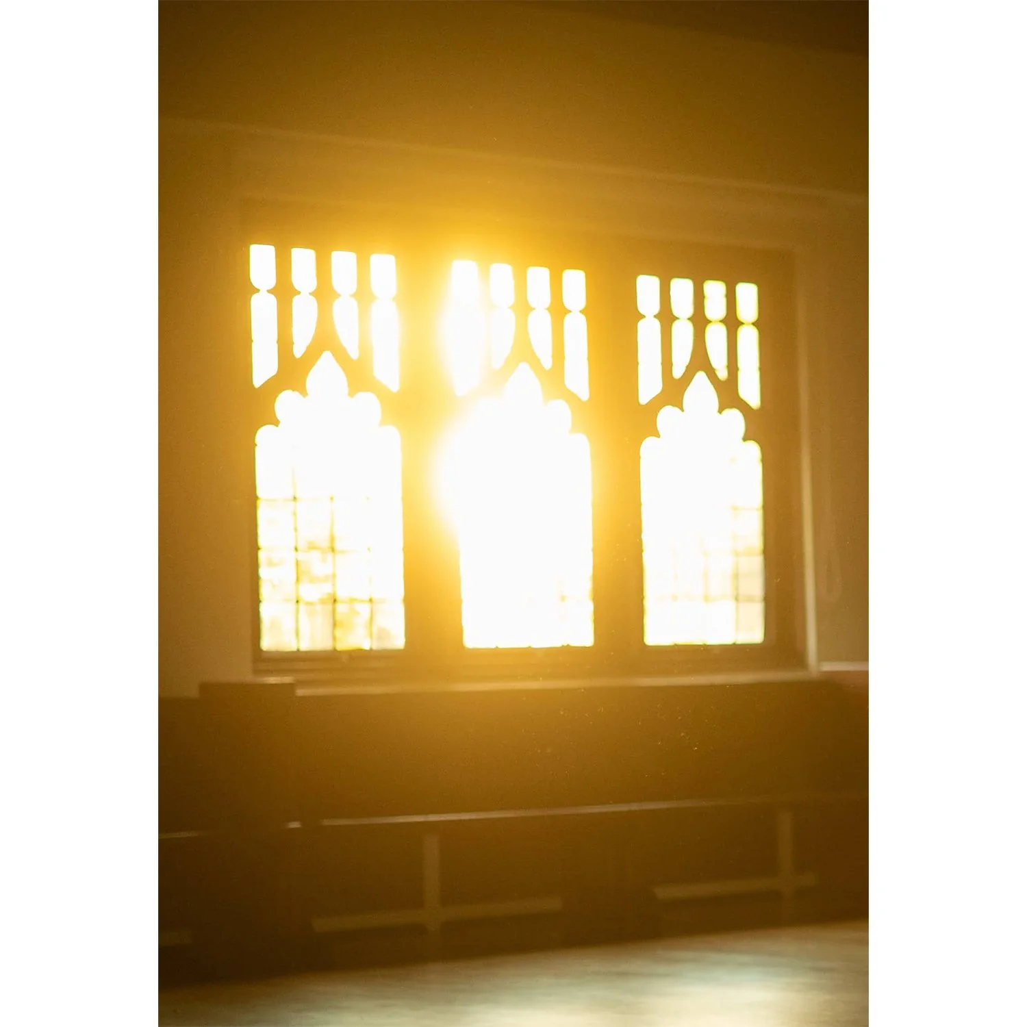 Release of Yellow Arrow Vignette LUMINATE