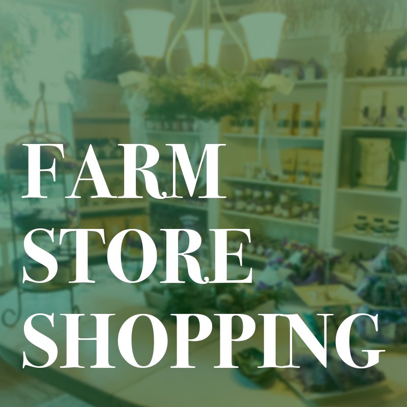 Winter Farm Store Opens! 