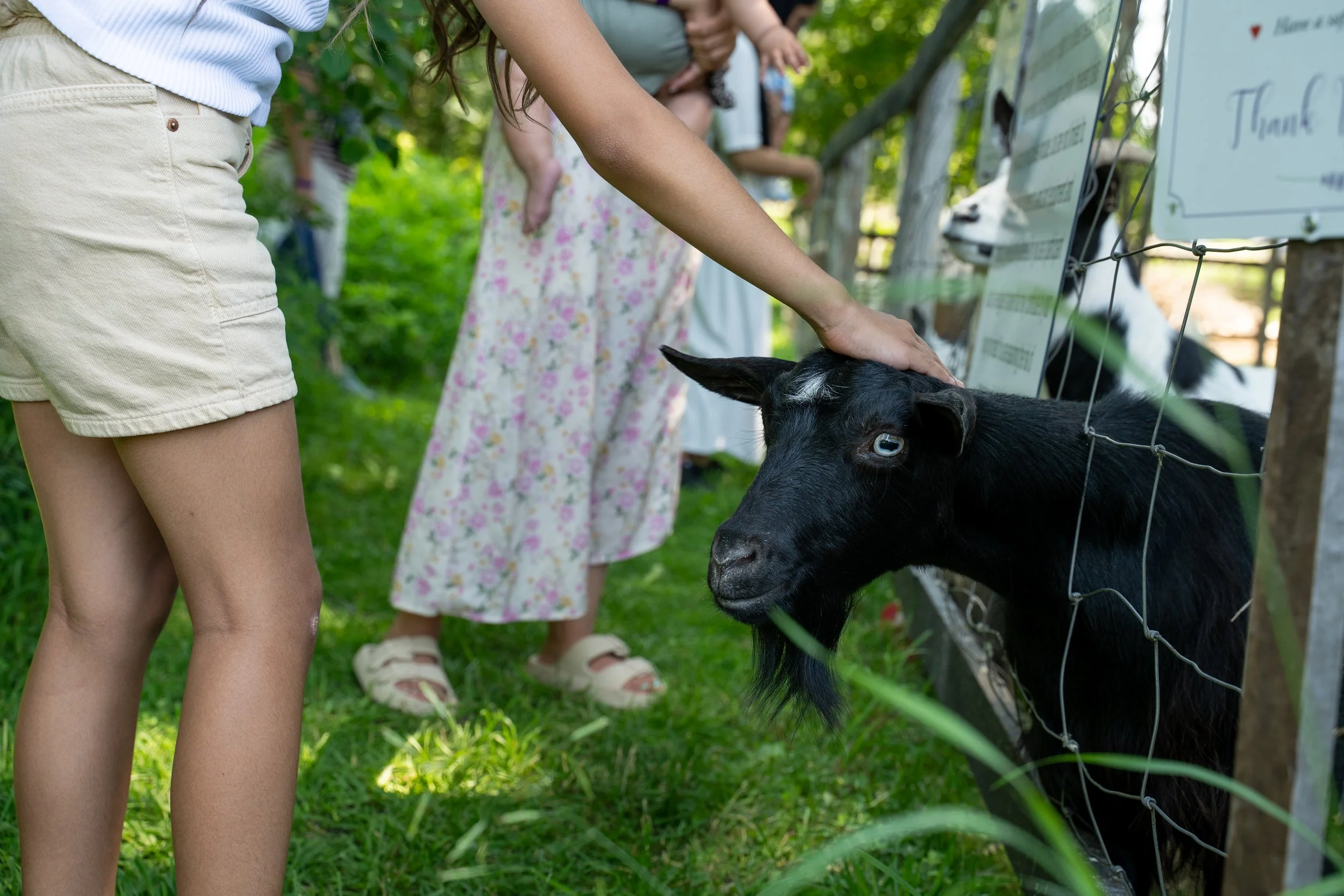 A7309846- TGP-LittleLavenderFest-2025.JPG