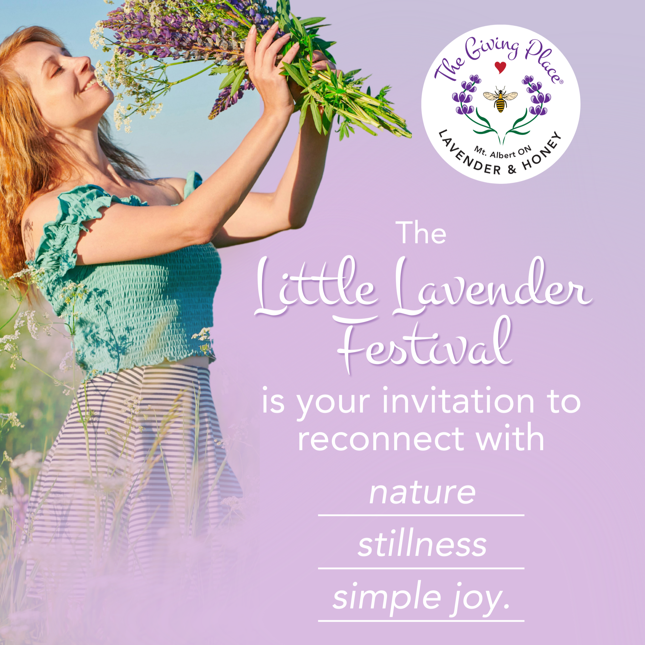 The Little Lavender Festival 