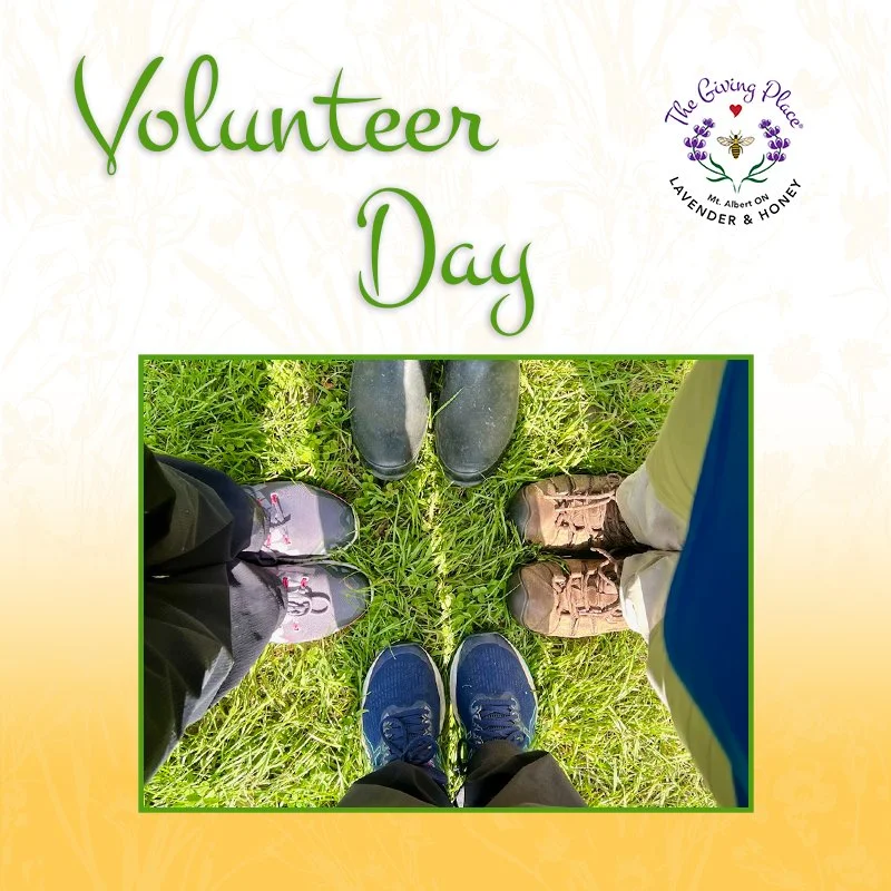 Opening Volunteer Day!