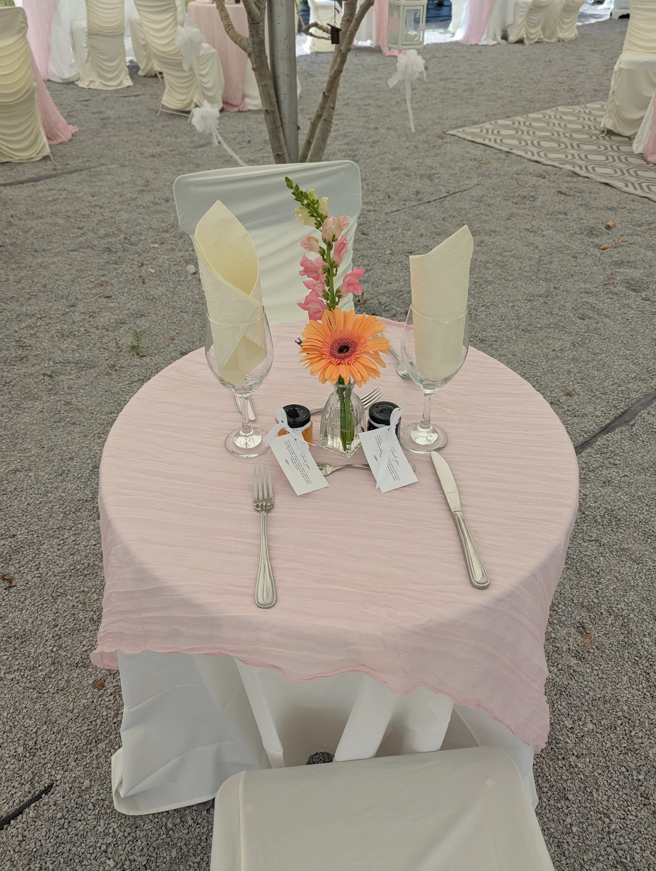 PXL_20250730_184137768.jpg