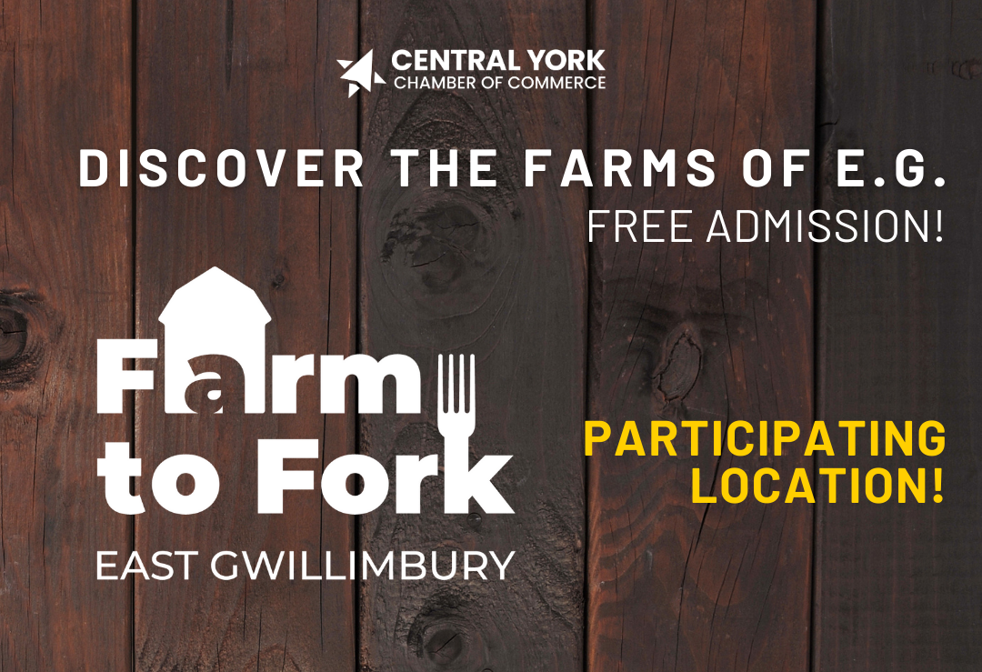 Farm to Fork