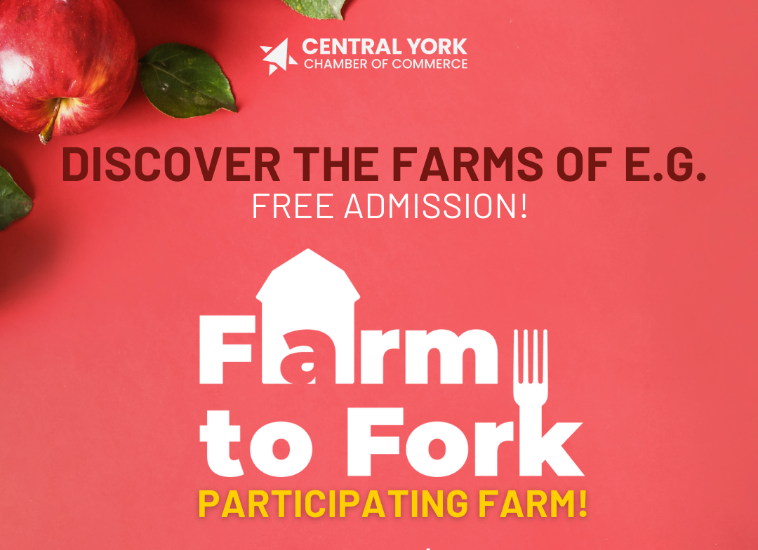 Farm to Fork