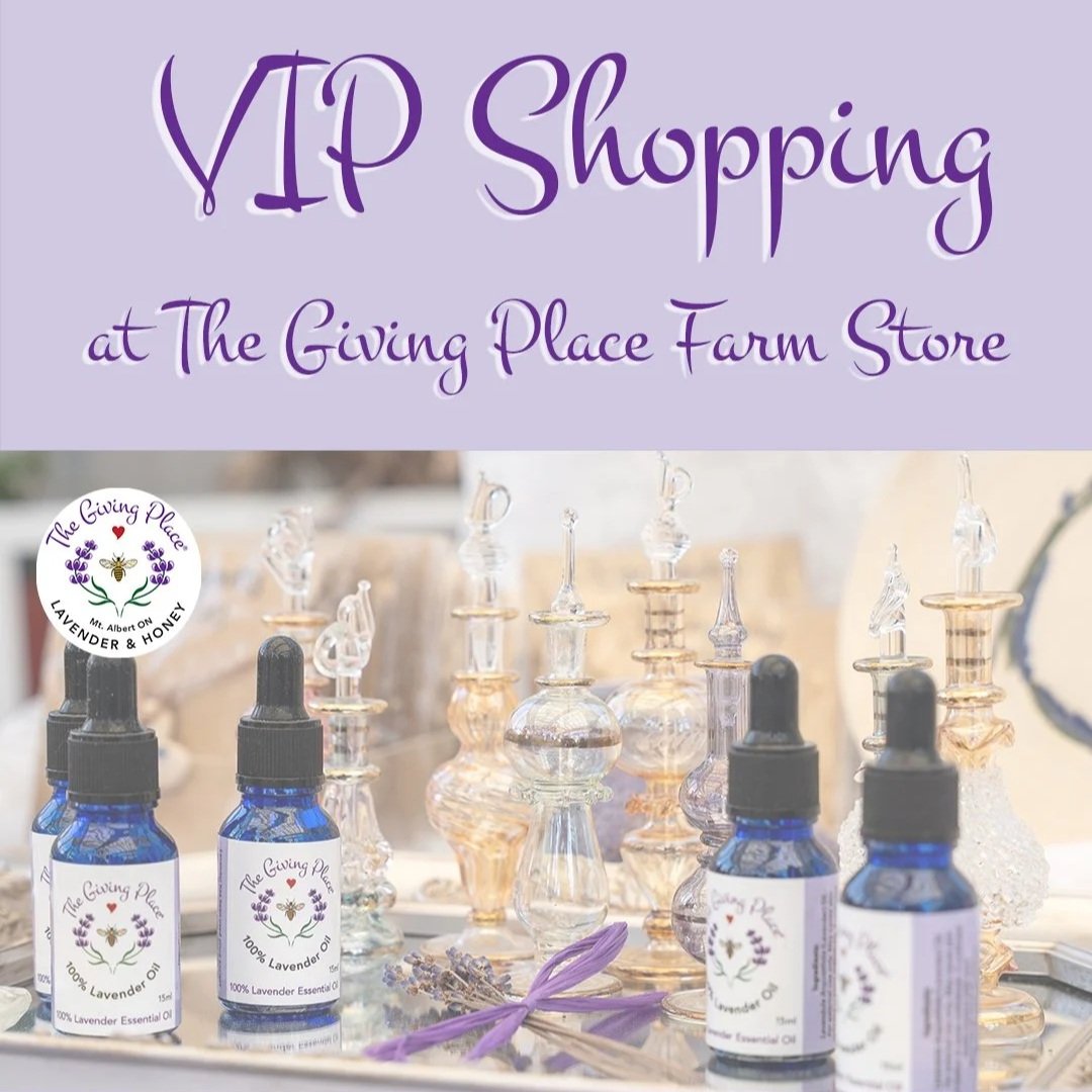 vipshopping.jpg