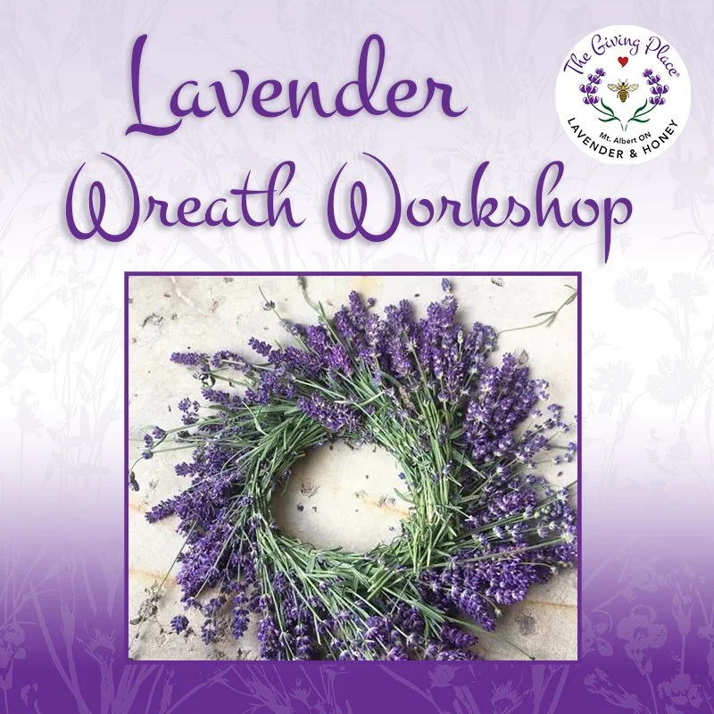 lavenderwreath2026.jpg (Copy)