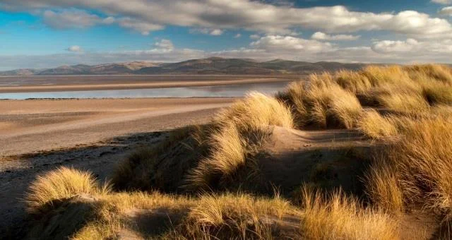 Ynyslas beach - looking north towards the Dyfi estuary (about 30 miles)