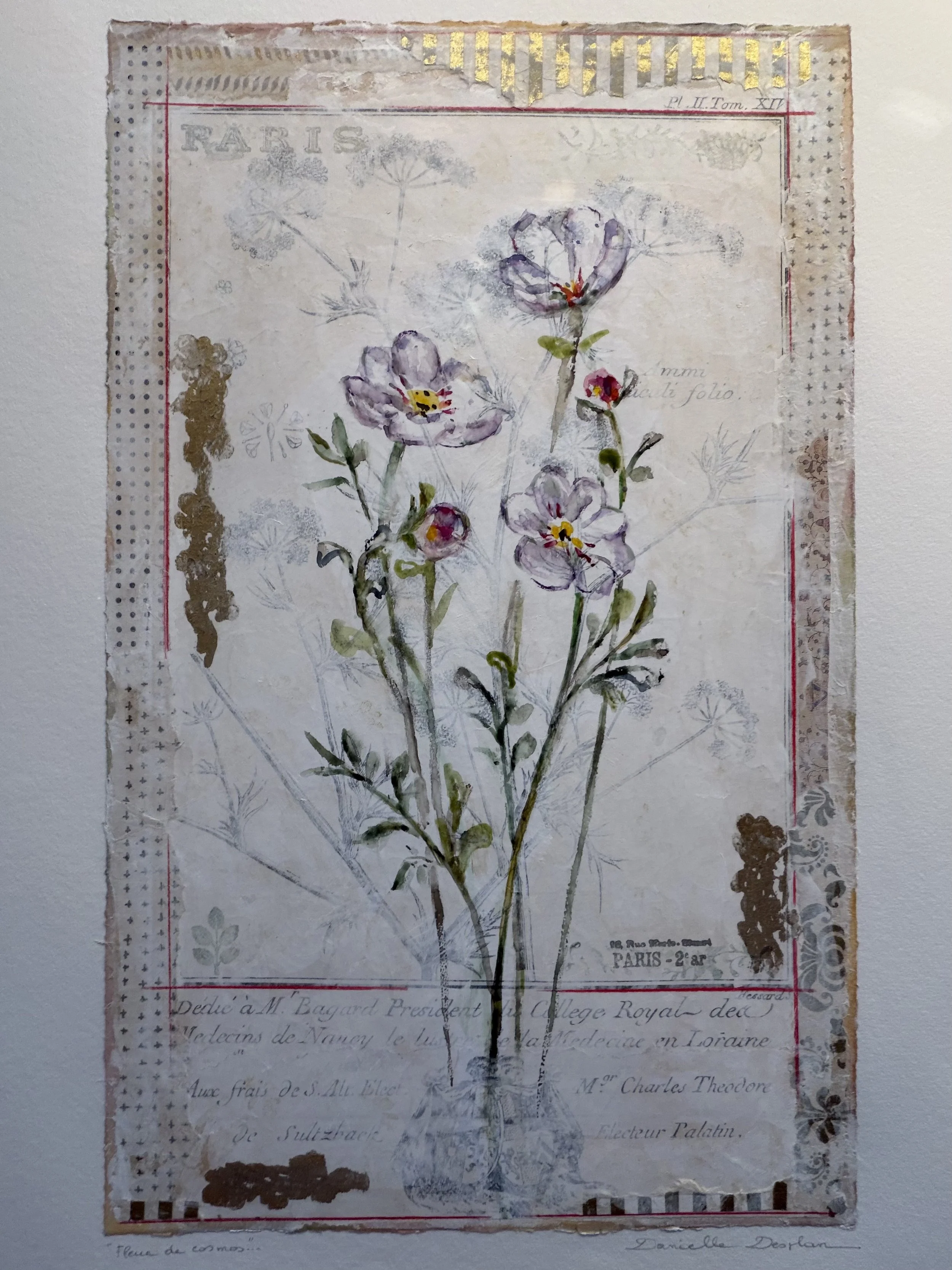 Fleur de Cosmos