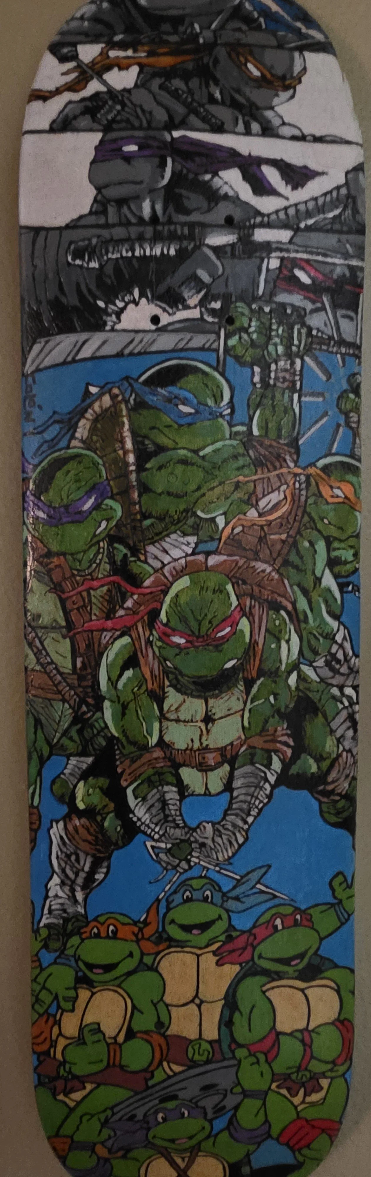 Ninja Turtles SB.jpg
