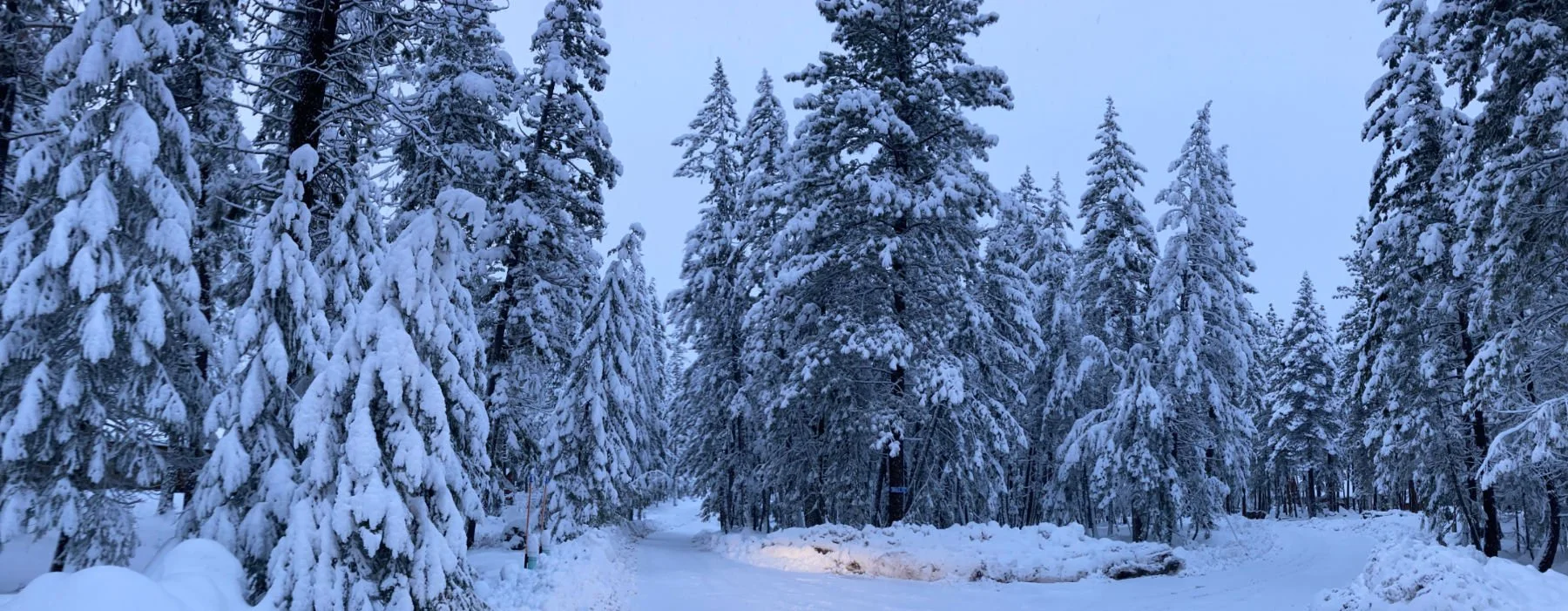 LRAA winter at the intersection of Skyline and Moate.