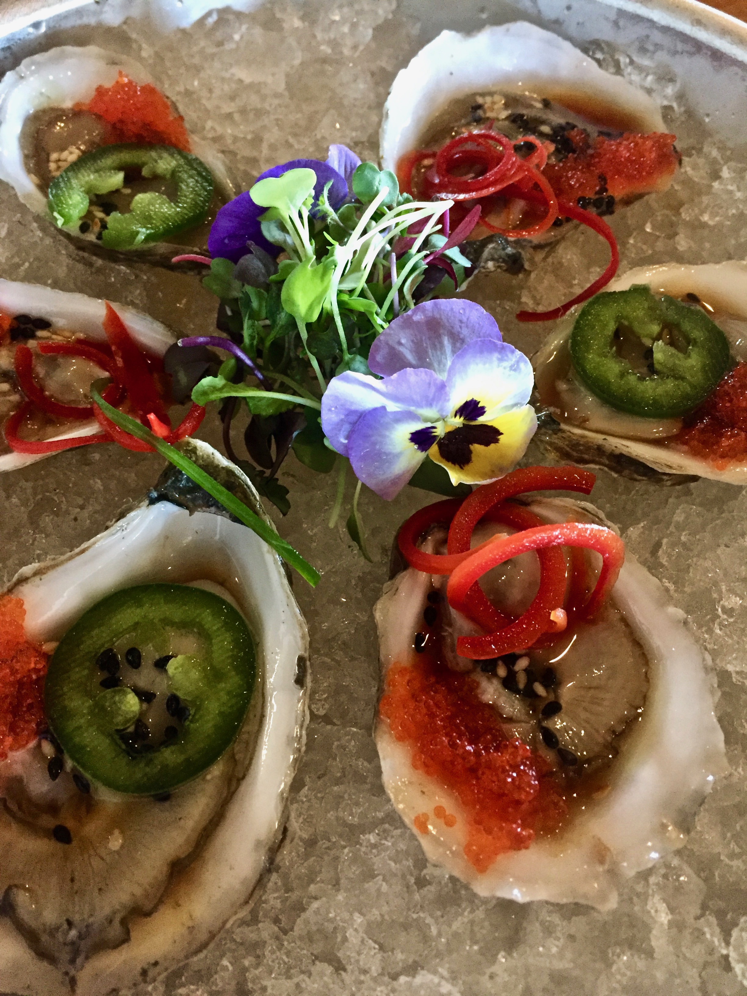 oysters.jpeg