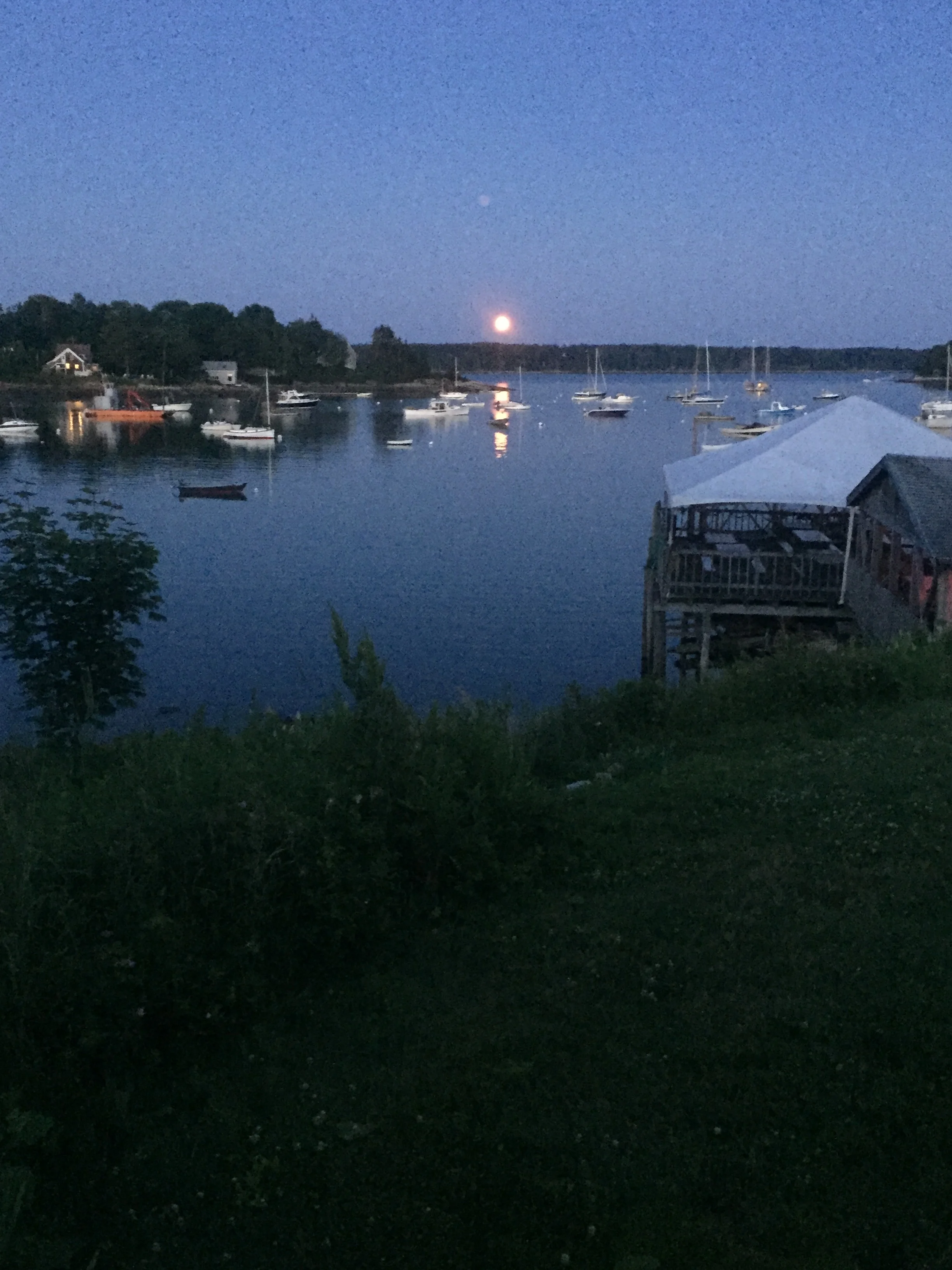 view.jpg