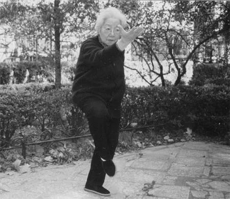 Master Sun Shurong practicing the Bagua Sparrowhawk position