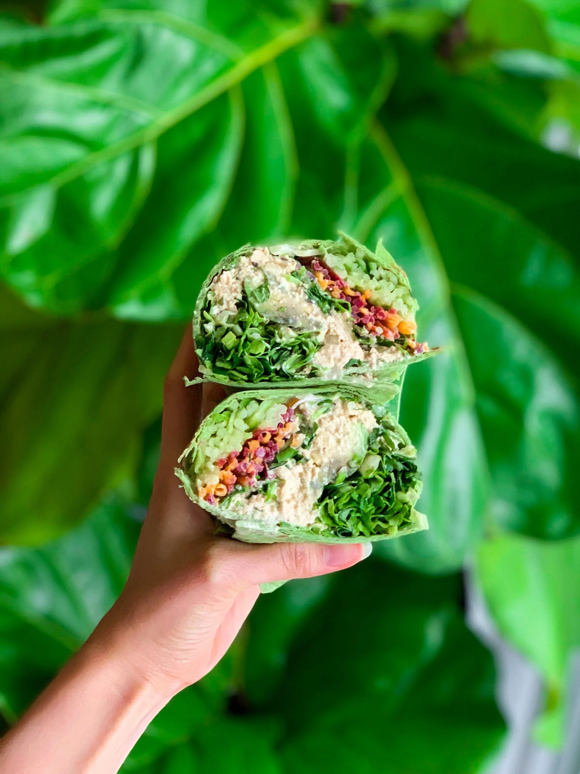 The BEST Vegan Chicken Salad Wrap