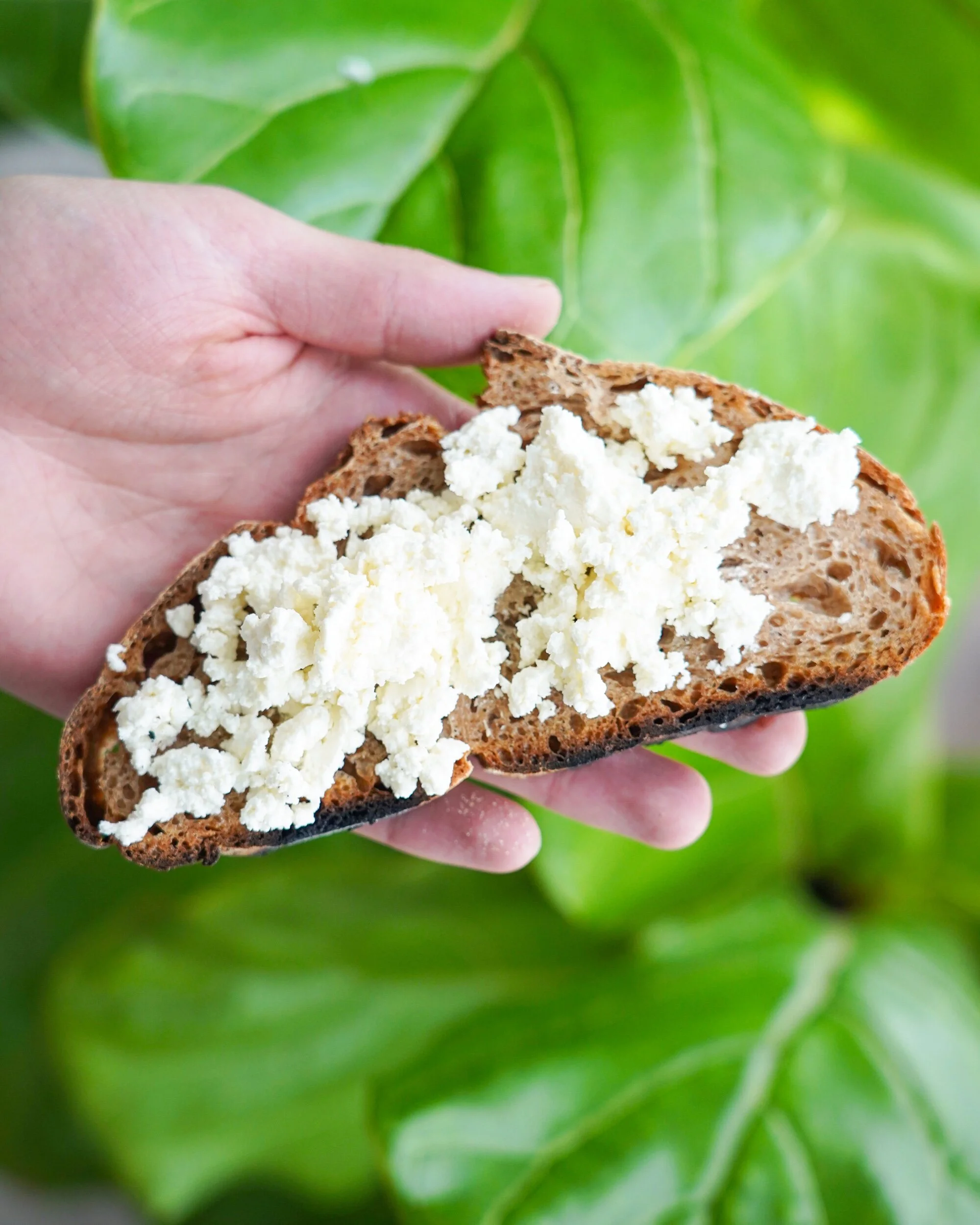 The EASIEST Homemade Ricotta