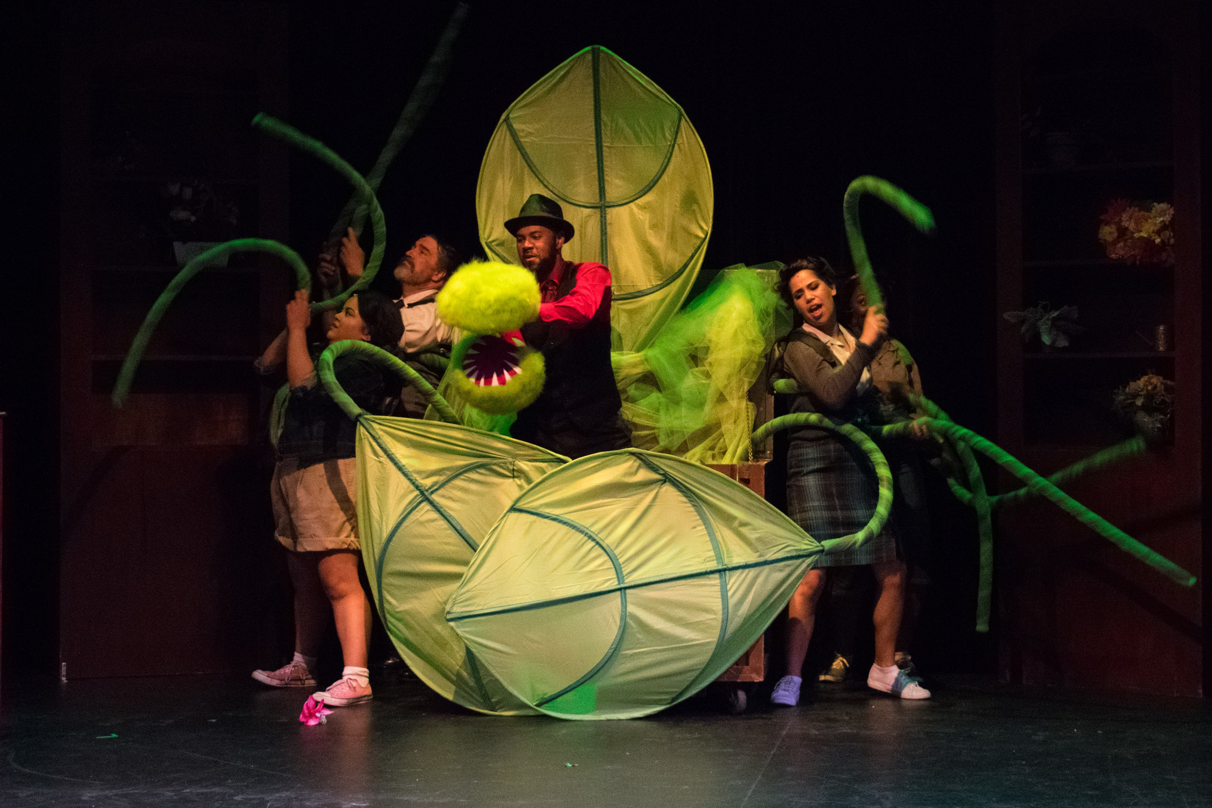   Little Shop of Horrors  at the purplelight theatre company 