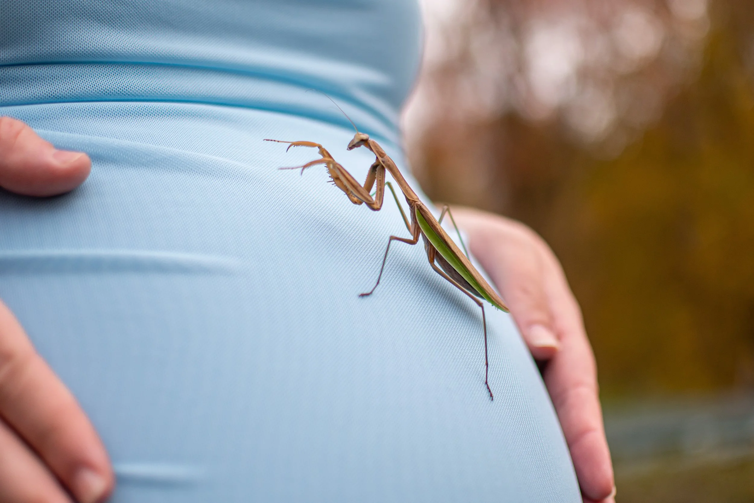 DSC_2279 (2025-11-01T18_17_03.462).jpg