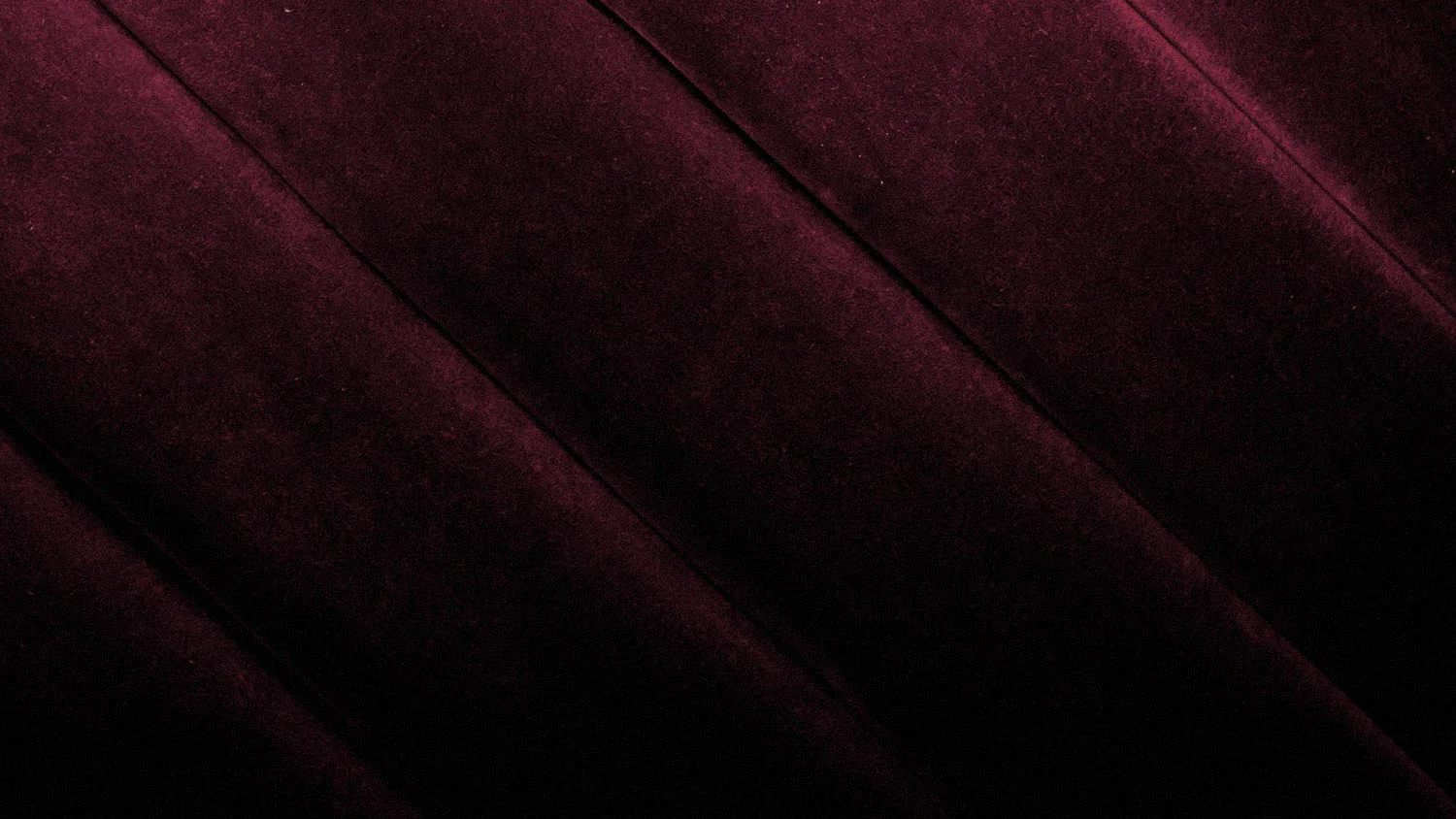 tip_banner-12.jpg