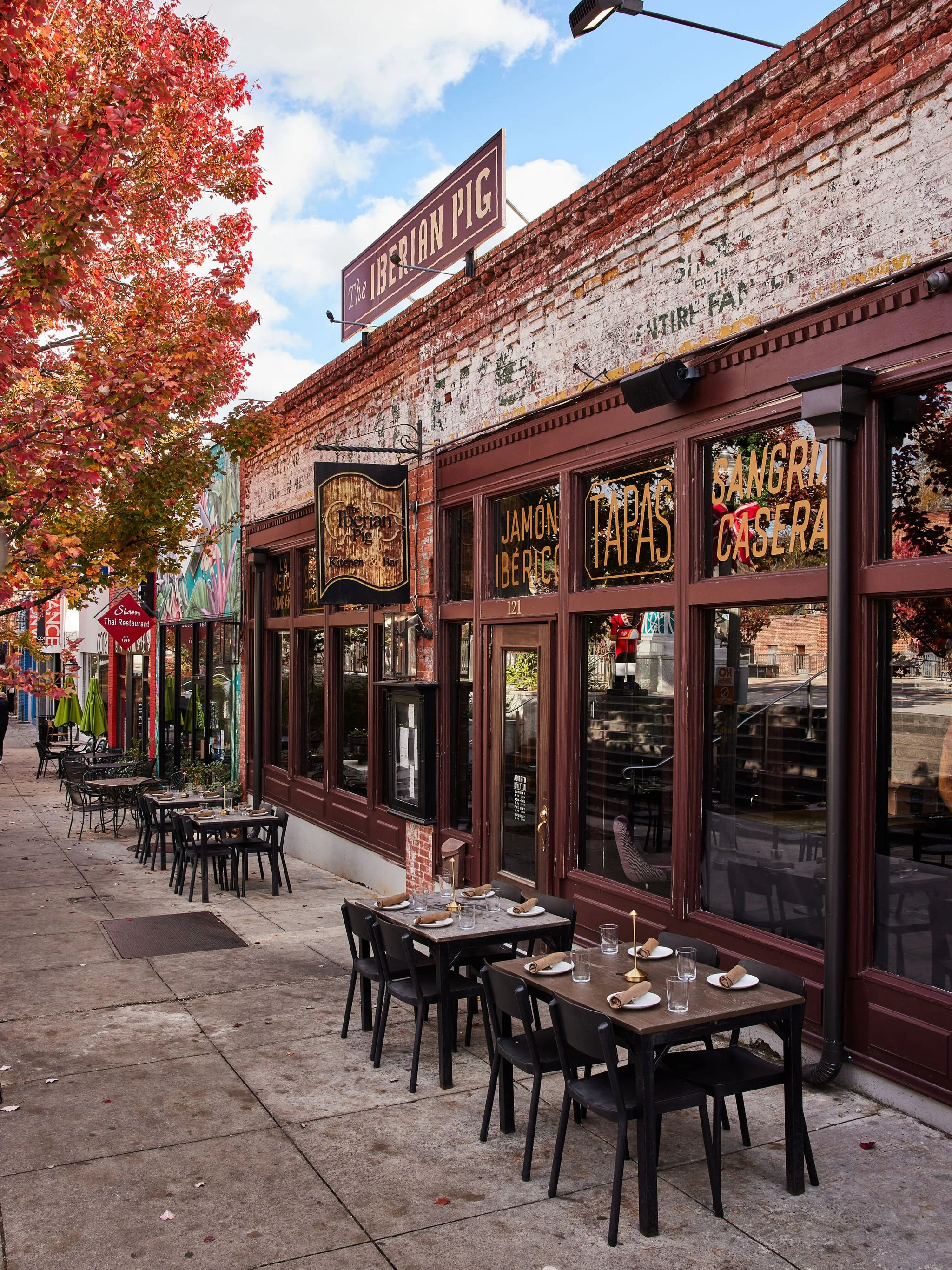 iberianpig_decatur_final_0097.jpg